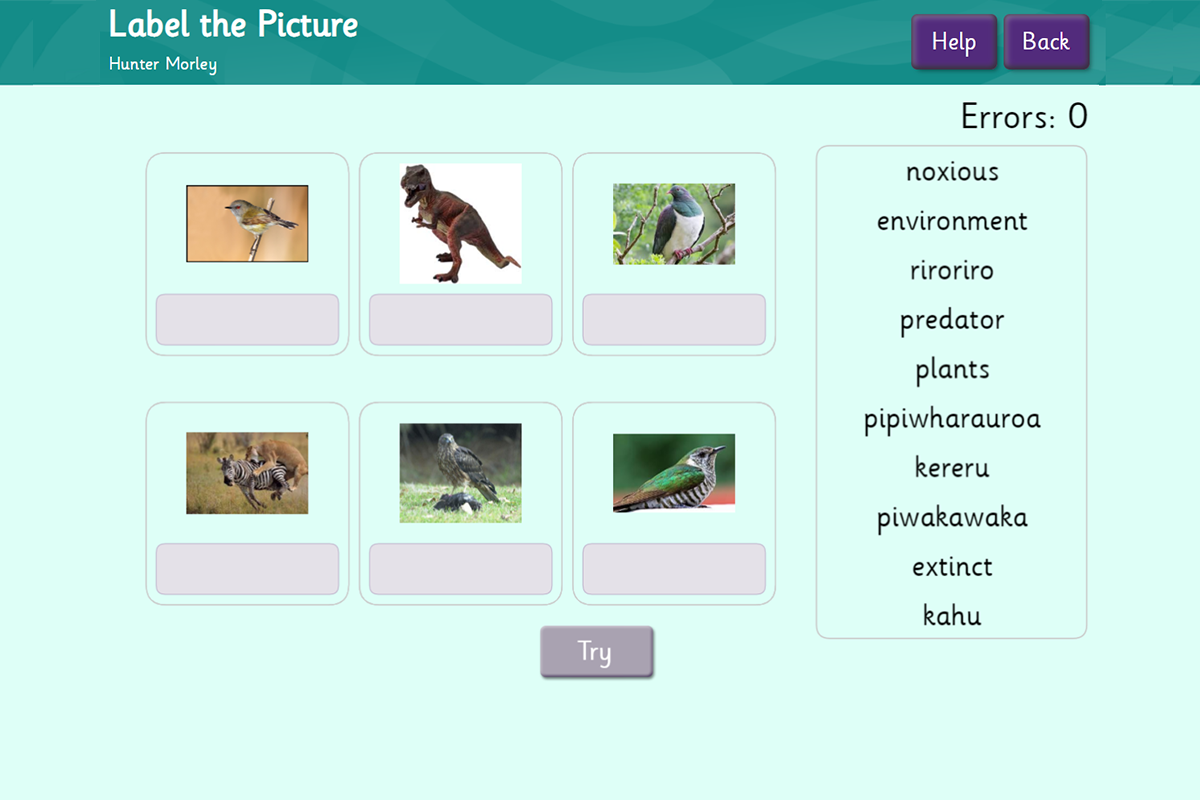 Environment activity 1